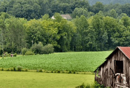 Log cabin in a lush green field in the Smoky Mountains