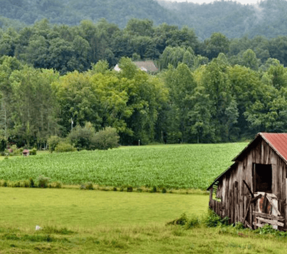 Log cabin in a lush green field in the Smoky Mountains