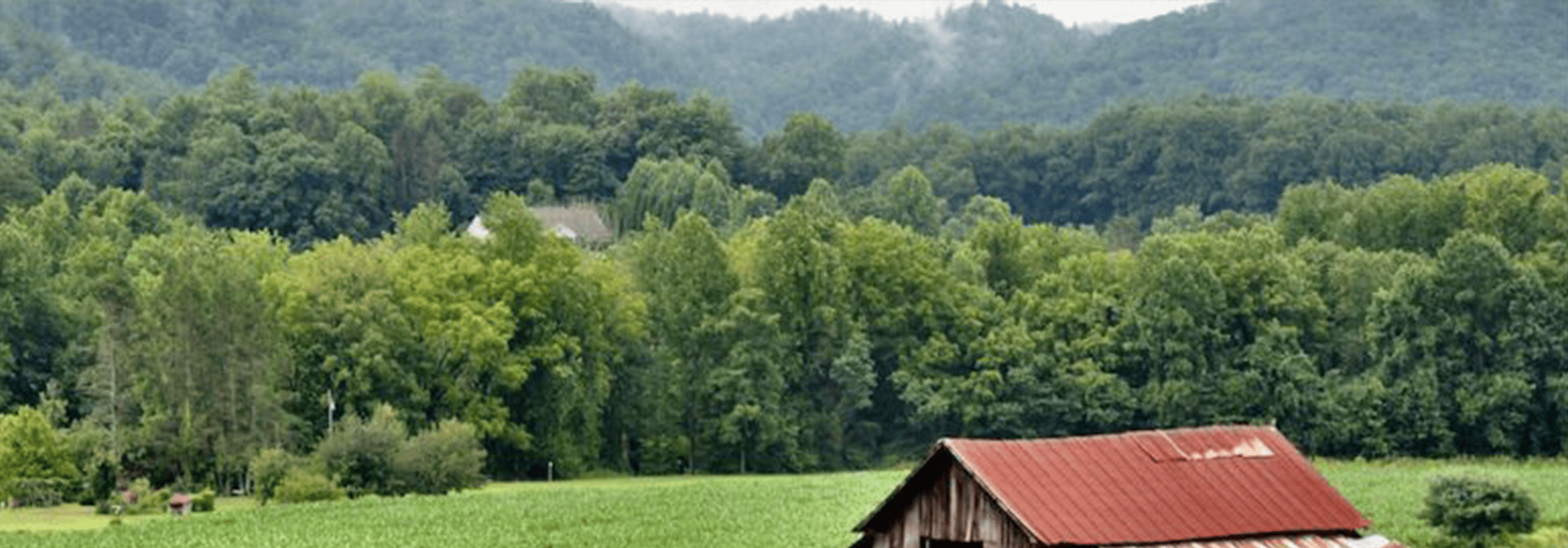 Beautiful field and barn on a property in Wears Valley, Tennessee