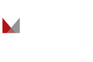 Young Marketing Group Realty Executives Logo
